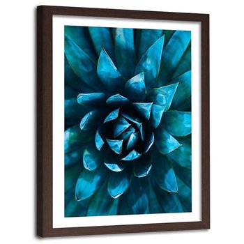 Plakat dekoracyjny w ramie brązowej FEEBY Niebieski kwiat kaktusa, 13x18 cm - Feeby