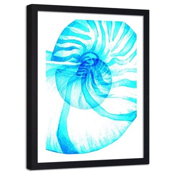 Plakat dekoracyjny w ramie czarnej FEEBY Motyw morski niebieska muszla, 40x50 cm - Feeby