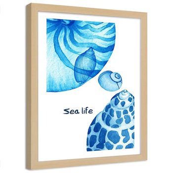 Plakat dekoracyjny w ramie naturalnej FEEBY Sea life i muszelki, 70x100 cm - Feeby