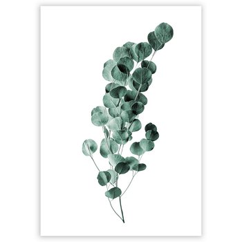 Plakat DEKORIA Eucalyptus Emerald Green, 40x50 cm, srebrna ramka - Dekoria