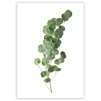 Plakat DEKORIA Eucalyptus Green, 21x30 cm, biało-zielony, bez ramki - Dekoria