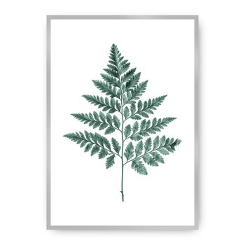 Plakat DEKORIA Fern Emerald Green, 30x40 cm, srebrna ramka - Dekoria