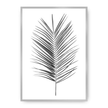Plakat DEKORIA Palm Leaf Green, 30x40 cm, srebrna ramka - Dekoria
