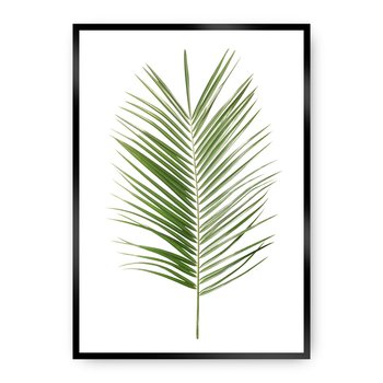 Plakat DEKORIA Palm Leaf Green, 50x70 cm, czarna ramka - Dekoria