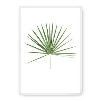Plakat DEKORIA Tropical Leaf Green, 70x100 cm, biała ramka - Dekoria