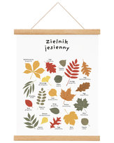 Plakat edukacyjny dla dzieci Zielnik jesienny 30x40 A3 cm / Joachimki