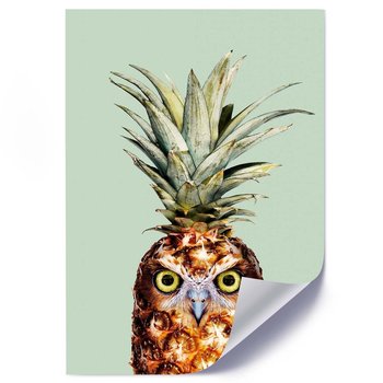 Plakat FEEBY Abstrakcja owoc i ptak, 40x60 cm - Feeby