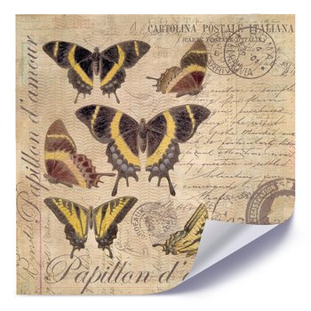 Plakat FEEBY Abstrakcyjne motyle 2, 40x40 cm - Feeby