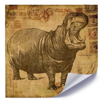 Plakat FEEBY Afrykański hipopotam, 80x80 cm - Feeby