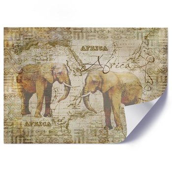 Plakat FEEBY Afrykanskie słonie - 60x40 - Feeby