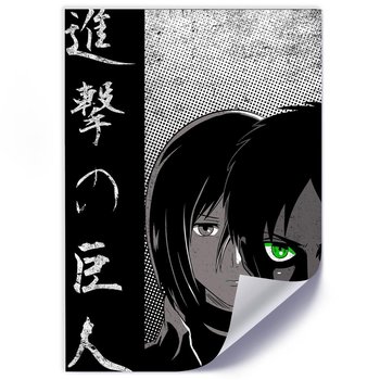Plakat FEEBY, Bohaterowie anime, 40x60 cm - Feeby