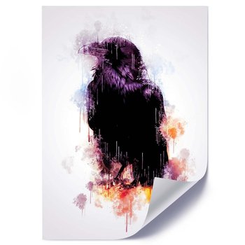 Plakat FEEBY Czarny kruk, 50x70 cm - Feeby