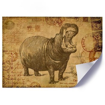 Plakat FEEBY Hipopotam - 60x40 - Feeby