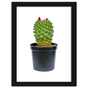Plakat FEEBY Kaktus na białym tle, 21x29,7 cm - Feeby