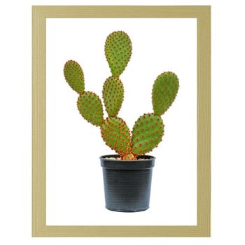 Plakat FEEBY Kaktus w doniczce, 21x29,7 cm - Feeby