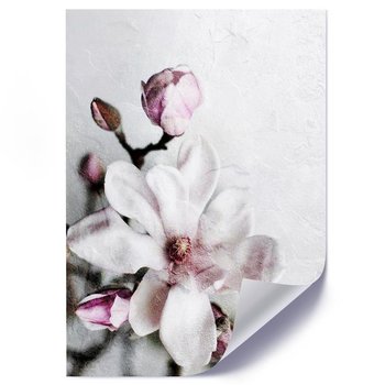Plakat FEEBY Kwiat magnolii, 50x70 cm - Feeby