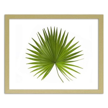 Plakat FEEBY Liść palmy, 40x30 cm - Feeby