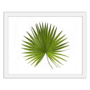 Plakat FEEBY Liść palmy, 40x30 cm - Feeby