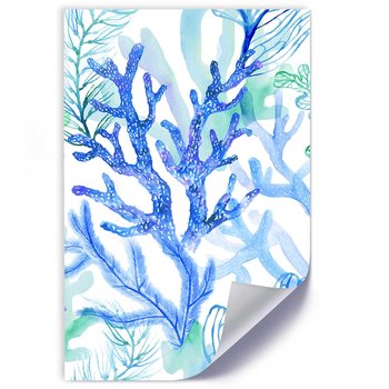Plakat FEEBY Morskie rośliny i koralowce 40x60 - Feeby