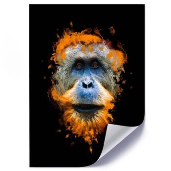 Plakat FEEBY Orangutan, 50x70 cm - Feeby