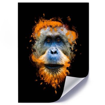 Plakat FEEBY Orangutan, 70x100 cm - Feeby