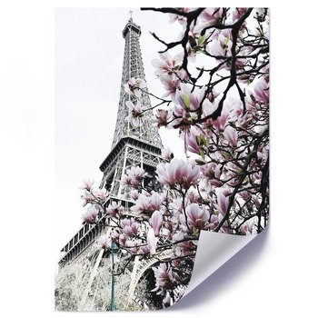 Plakat FEEBY Paryskie magnolie, 50x70 cm - Feeby