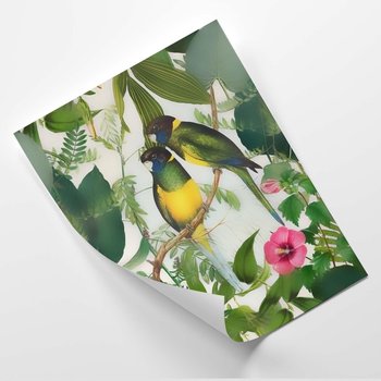 Plakat FEEBY Ptaki w dżungli 2 - Andrea Haase 30x40 - Feeby