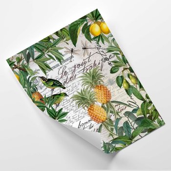Plakat FEEBY Tropikalne owoce i kaligrafia - Andrea Haase 30x40 - Feeby