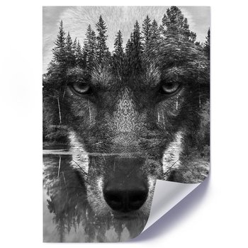 Plakat FEEBY Wilk las jezioro, 20x30 cm - Feeby