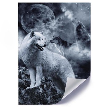 Plakat FEEBY Wilki i księżyc, 70x100 cm - Feeby