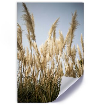 Plakat FEEBY Źdźbła trawy 40x60 - Feeby