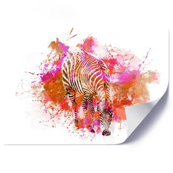 Plakat FEEBY Zebra, abstrakcja - 70x50 - Feeby