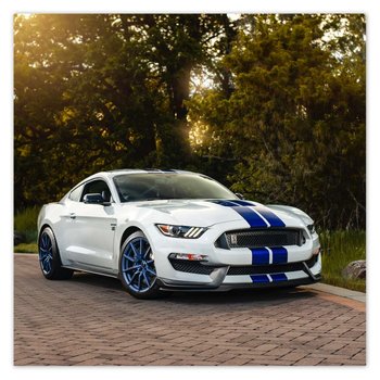 Plakat Ford Mustang Samochód USA, 70x70 cm - ZeSmakiem