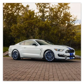 Plakat Ford Mustang Samochód USA, 70x70 cm - ZeSmakiem