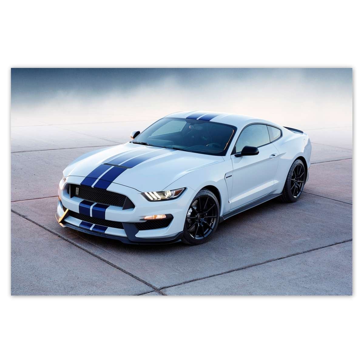 Gards Tuinposter Zwarte Sportwagen Auto nabij een Stad - 60x80 cm