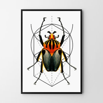 Plakat HOG STUDIO Bug, 40x50 cm - Hog Studio
