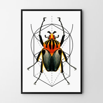 Plakat HOG STUDIO Bug, 61x91 cm - Hog Studio