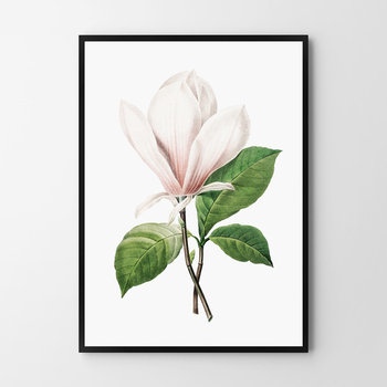 Plakat HOG STUDIO Magnolia Vintage, A3, 29,7x42 cm - Hog Studio