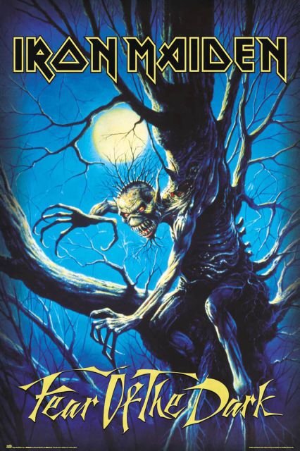 Iron Maiden Fear Of The Dark – T-Shirt Donna, Nero Effetto Usurato, Taglia L, Cotone 100%, Vestibilità Regular, Merch Ufficiale