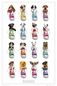 plakat KEITH KIMBERLIN - SNEAKERS - GB eye