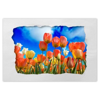 Plakat Kolorowe tulipany Kwiaty, 90x60 cm - ZeSmakiem