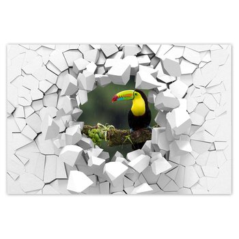 Plakat Kolorowy tukan na gałęzi, 90x60 cm - ZeSmakiem