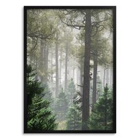 Plakat na ścianę do sypialni salonu Obraz ścienny w ramie 50x70 Las Drzewa