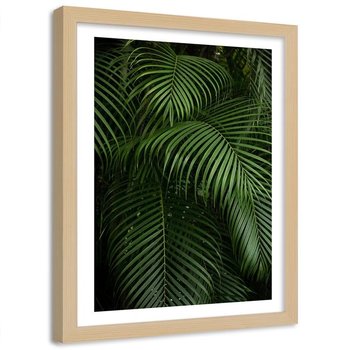 Plakat na ścianę w ramie naturalnej FEEBY Tropikalne liście palmy zielone, 40x50 cm - Feeby