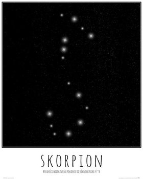 Plakat NICE WALL Skorpion konstelacja gwiazd z opisem, 40x50 cm - Nice Wall