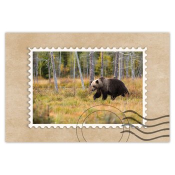 Plakat Niedźwiedź w lesie, 90x60 cm - ZeSmakiem