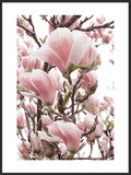 Plakat Obraz Japoński Kwiat 70x100 cm (B1) - Poster Story PL
