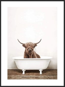 Plakat Obraz Krowa Szkocka w Wannie 60x84 cm (A1) - Poster Story PL