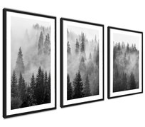 Plakat Obrazki Las Mgła Pejzaż Krajobraz 40x50cm 3szt