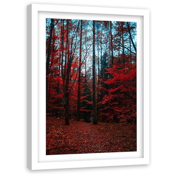 Plakat ozdobny w ramie białej FEEBY Drzewa czerwone liście, 60x80 cm - Feeby